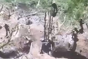 Росіяни знову розстріляли беззбройних українських полонених - ОГП