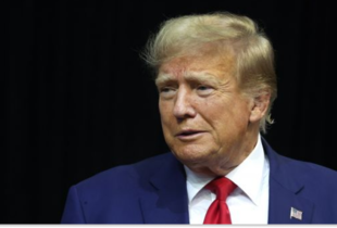 Тарифи Трампа зачеплять 97% експорту ЄС до США – Європейська комісія