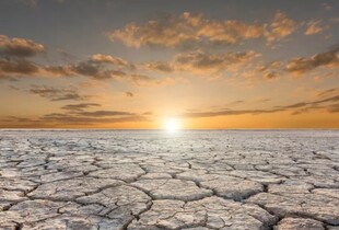 Глобальне потепління сягнуло 1,58°C за останні 12 місяців: що це значить