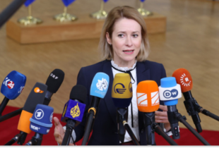 ЄС підтримав ініціативу США щодо 30-денного перемир'я в Україні