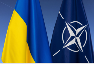 Глава МЗС Німеччини: шлях України до НАТО є незворотним