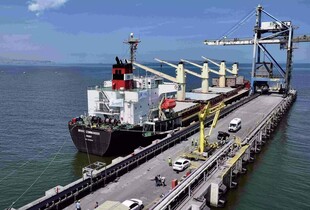 Гуманітарне судно з 20 тисячами тонн українського зерна прибуло до Туреччини