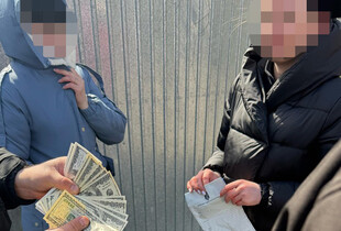 Посадовицю з Одещини викрили на схемі переправлення чоловіків за кордон