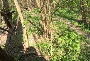 ССО знищили штурмову групу росіян у ворожому тилу під час розвідки (відео)