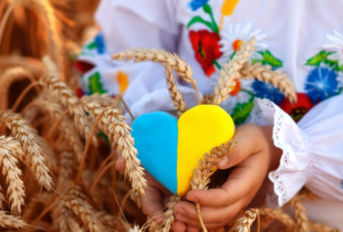 З Днем вишиванки 2025: найкращі побажання у віршах, прозі та красиві листівки
