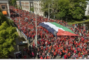 Понад 100 тисяч людей взяли участь у протесті проти дій Ізраїлю в Газі в нідерландській Гаазі