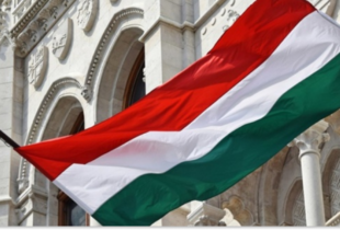 Угорщина заявила про викриття 