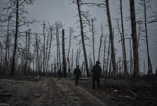 Росіяни наростили інтенсивність бойових дій в Серебрянському лісництві - Кирилін