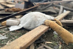 Стали відомі імена дітей, які загинули від атаки рф на Житомирщину