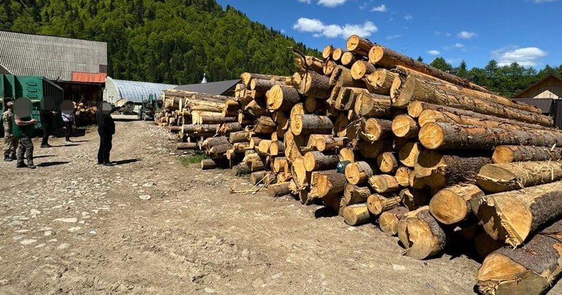 На Закарпатті судитимуть лісників за незаконну вирубку дерев на понад 12 млн грн