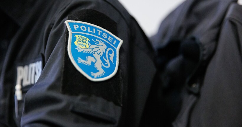 В Естонії політики хотіли створити 