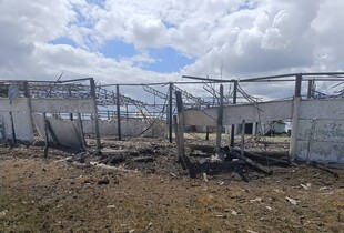 Росіяни вдень вдарили балістикою по фермі на Миколаївщині: є загиблий