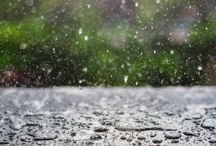Коли в Україні закінчаться дощі: прогноз погоди на 30 травня