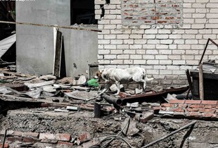 У травні окупанти 64 рази атакували Харків, внаслідок чого поранення дістали 67 людей: подробиці