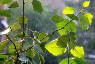 Україну перетинатиме холодний атмосферний фронт: яку погоду очікувати