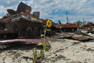 На Луганщині збитки довкіллю становлять понад 249 млн гривень через агресію рф  - Міндовкілля