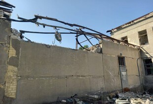 Росіяни у Краматорську зруйнували ветеринарну клініку: у медзакладі перебувало 23 тварини