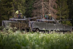 В Естонії почали будувати оборонну лінію на кордоні, що межує з росією