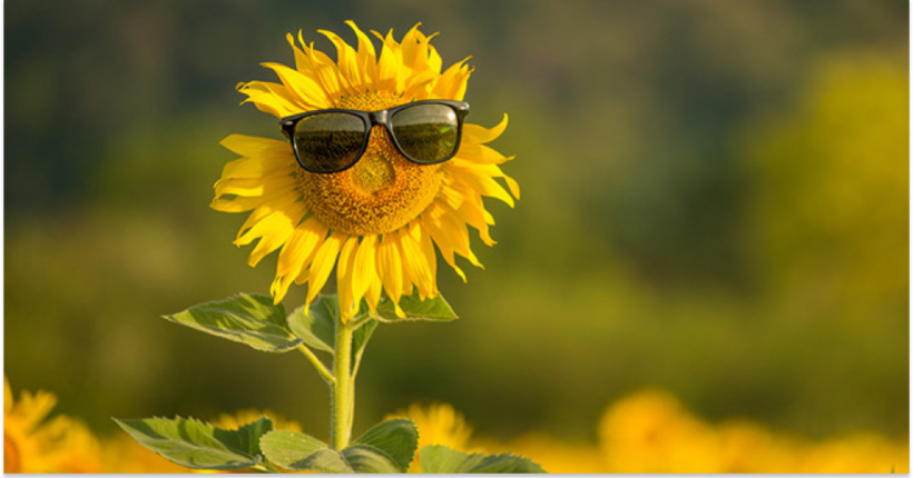 В Україні очікується спека до +34°C на початку липня