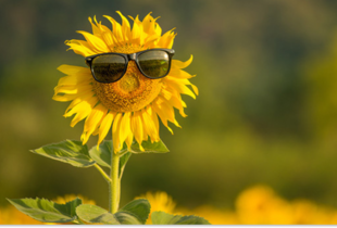 В Україні очікується спека до +34°C на початку липня