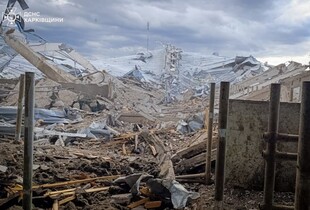 Окупанти скинули авіабомбу на Харківщину: загинула худоба