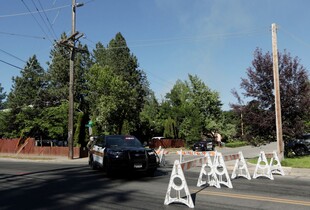У США озброєний чоловік відкрив вогонь по пожежниках, які приїхали гасити лісову пожежу