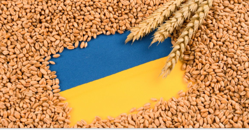 Експорт українського зерна скоротився на чверть, але виручка залишилася стабільною