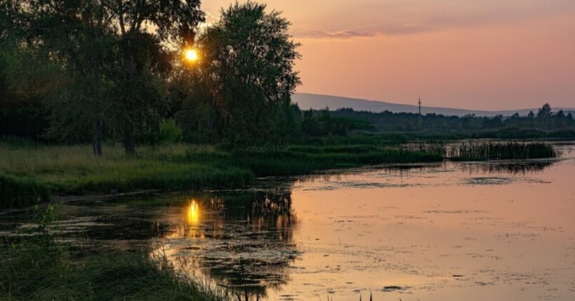 Росіяни справляють колоди по Осколу і будують переправи для піхоти - ОТУ 