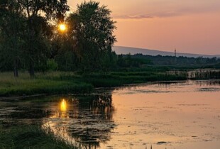 Росіяни справляють колоди по Осколу і будують переправи для піхоти - ОТУ 