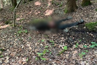 Працівники ДПСУ знайшли тіло загиблої людини у горах біля кордону: подробиці