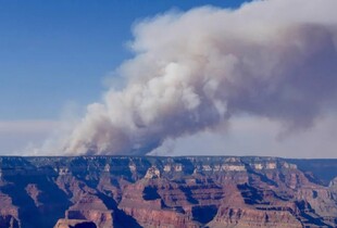 Лісові пожежі у США: частину парку Гранд-Каньйон закрили через полум’я та спеку