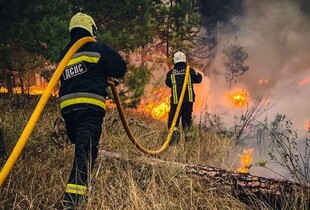 ДСНС: за добу сталося понад 200 пожеж