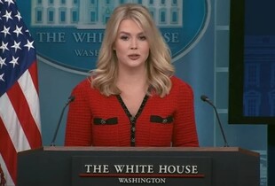 Речниця Трампа прокоментувала публікацію FT про прохання до Зеленського 