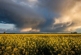 В Україні знову температурні гойдалки: якою буде погода 17 липня
