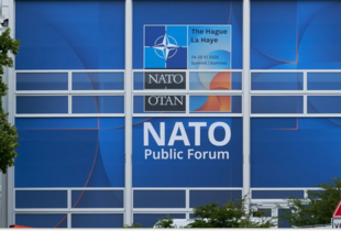 Вісім країн НАТО приєдналися до закупівлі американської зброї для України