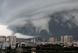 Тайфун 