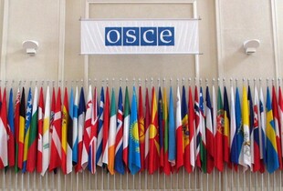 Більше ніж 40 країн-членів ОБСЄ ініціювали розслідування проти рф: причина