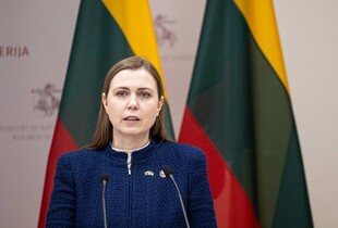 Литва виділить до €30 млн на купівлю американських ЗРК Patriot для України