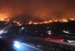 Туреччину охопили лісові пожежі: температура повітря перевищила +50°C, є загиблі