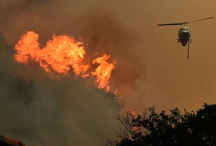 Греція потерпає від масштабних лісових пожеж: сотні людей залишились без домівок