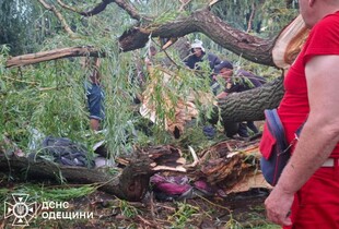 На Одещині дерево впало на намет із підлітками: є загиблий (фото)