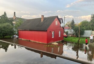 У ДСНС розповіли про підтоплення, знеструмлені села та повалені дерева через негоду (фото)