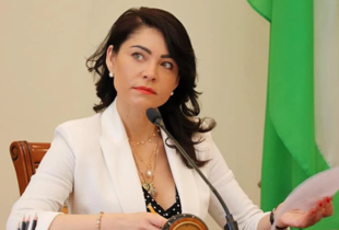 Очільниця АРМА Олена Дума подала у відставку