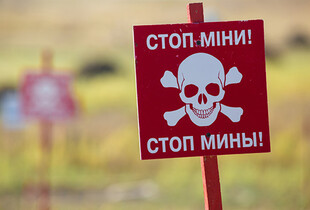 Російська пропаганда поширює фейки про мінування мертвих тварин бійцями ЗСУ