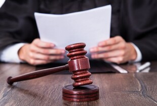 Австрійський суд надав дозвіл 