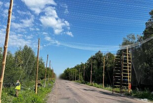 На Сумщині будують “антидронові тунелі” для захисту від атак FPV-дронів