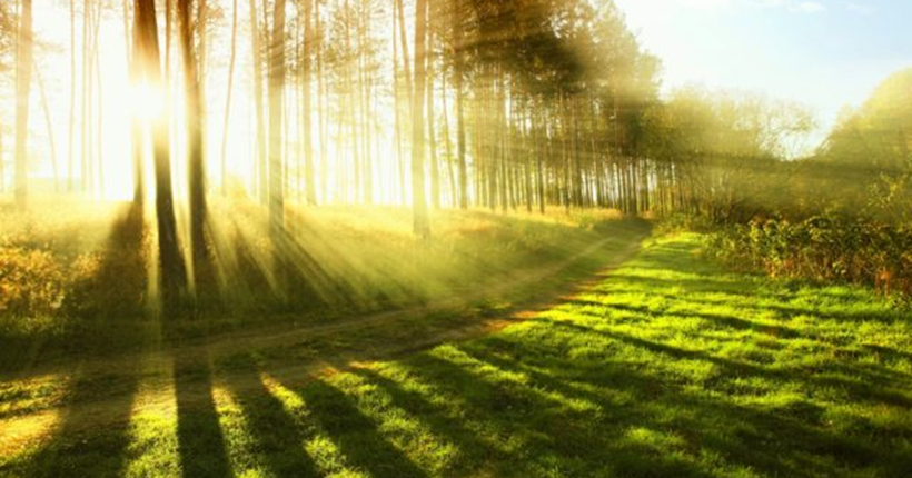 В Україні очікується тепла погода з температурою до +32°C