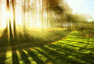 В Україні очікується тепла погода з температурою до +32°C