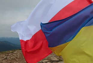 Затримання 17-річного українця в Польщі: посольство України відреагувало