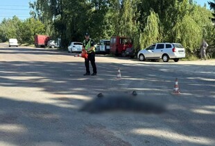 Смертельна ДТП у Коростені: вантажівка збила пішохода